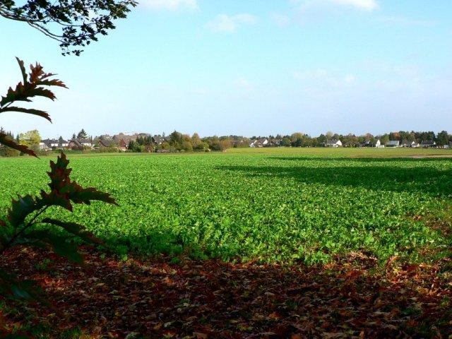 Dorf im Grünen